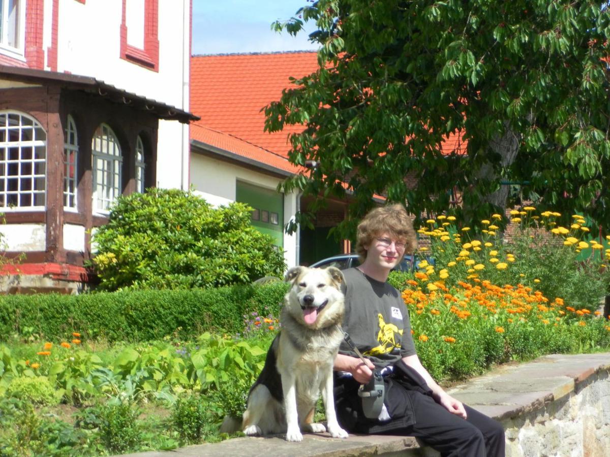 Cosy Flat On A Family Friendly Holiday Farm In Northern Hesse Trendelburg Екстер'єр фото